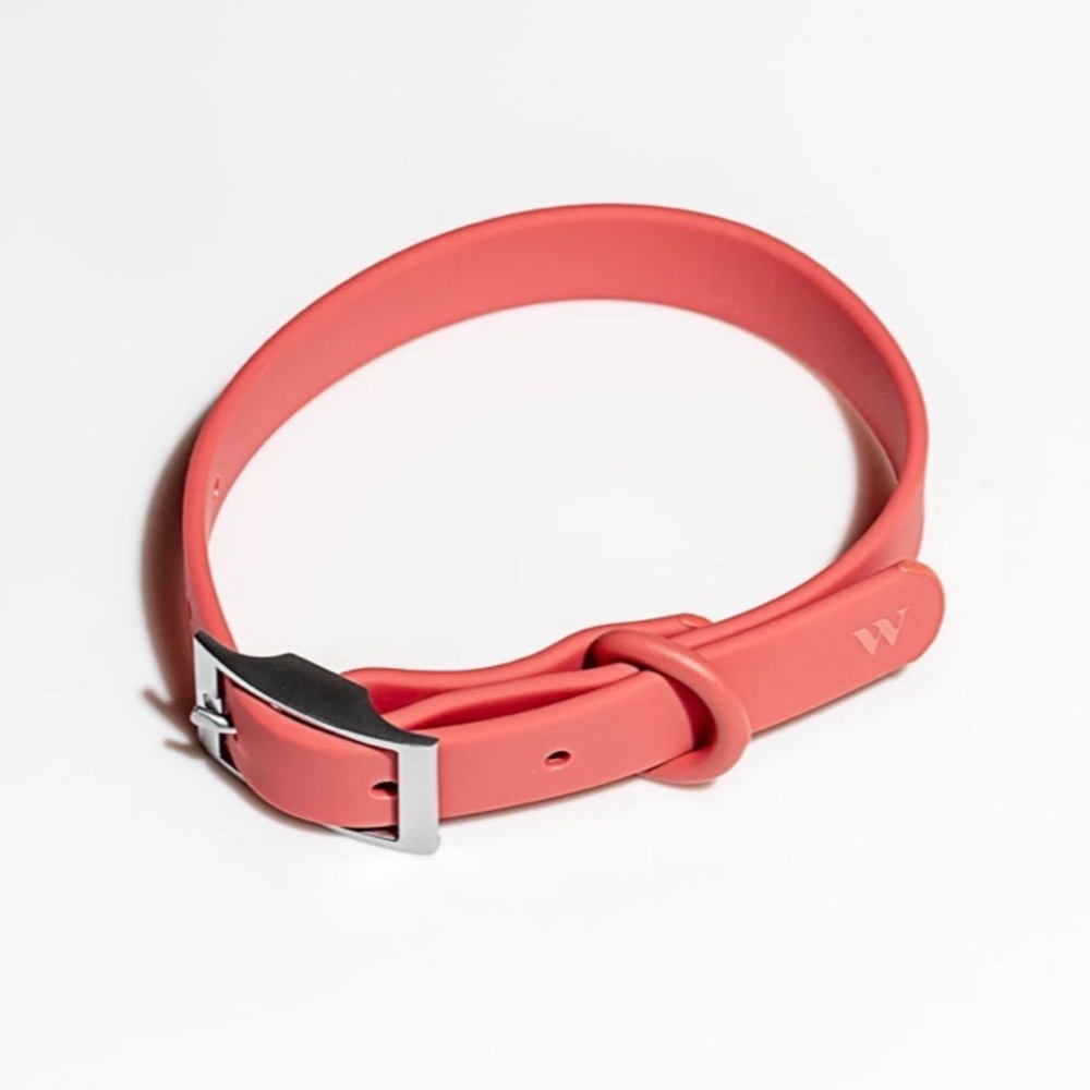 Wild One Collar